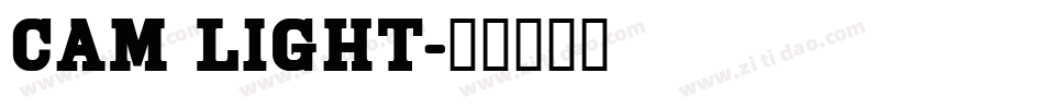 Cam Light字体转换